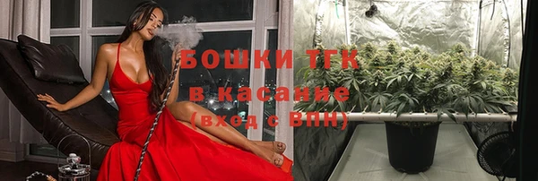МДПВ Снежинск