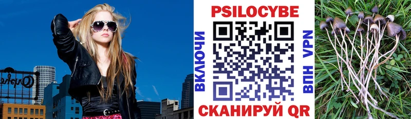 Псилоцибиновые грибы мухоморы купить Фатеж